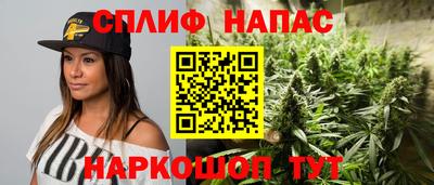 индика Краснознаменск