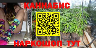 индика Краснознаменск